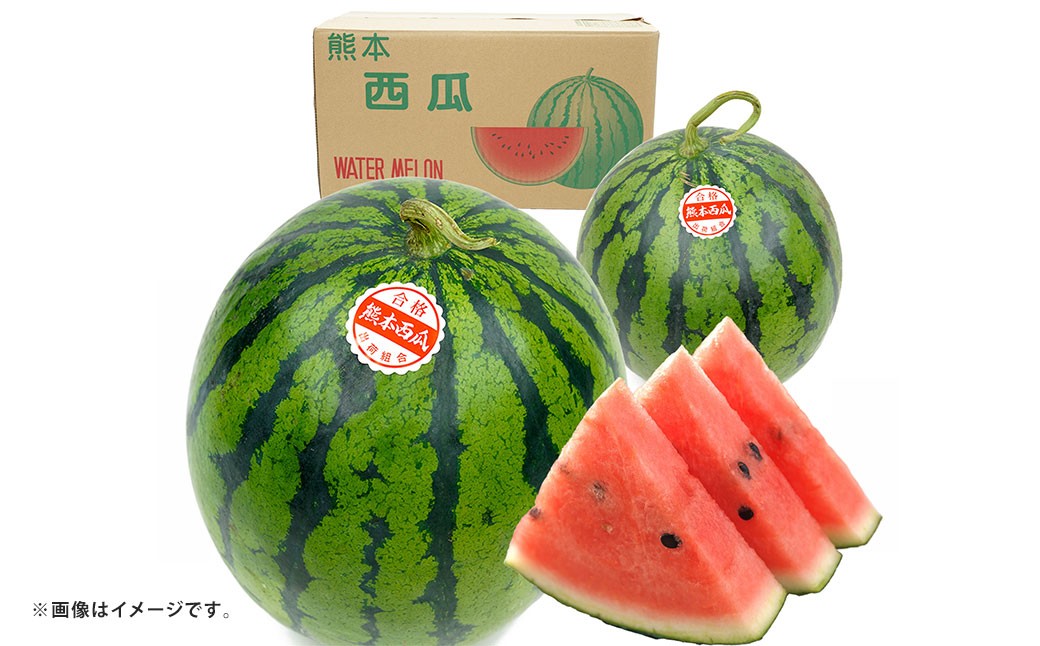 
                  大玉すいか 1玉入り S以上 約2kg 先行予約 スイカ 西瓜 すいか 熊本すいか 果物 くだもの 果実 フルーツ 【 2027年5月上旬 ～ 6月下旬 発送予定 】

                