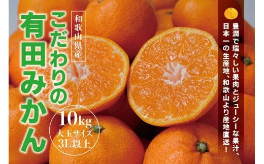 【 先行予約 】有田みかん 約10kg  大玉3L以上 有機質肥料100% 光センサー選別 ※2026年11月～12月に順次発送(お届け日指定不可) みかん ミカン 有田ミカン 柑橘 フルーツ 果物 くだもの 旬 産地直送 農家直送 人気【nuk139F】