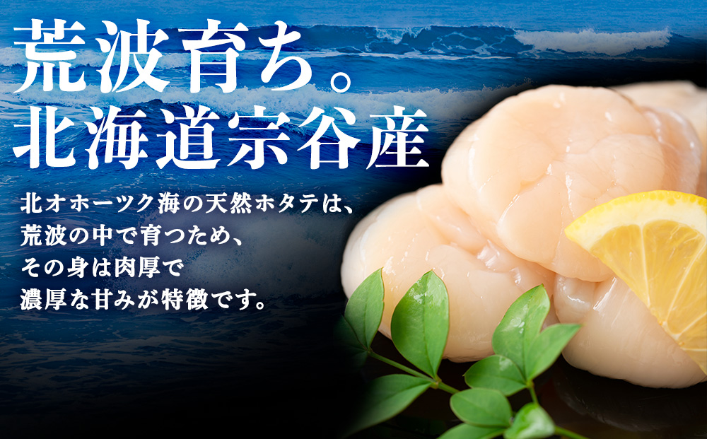 【2025年10月発送】宗谷産 天然生食用 ほたて貝柱 1kg（特A無選別）