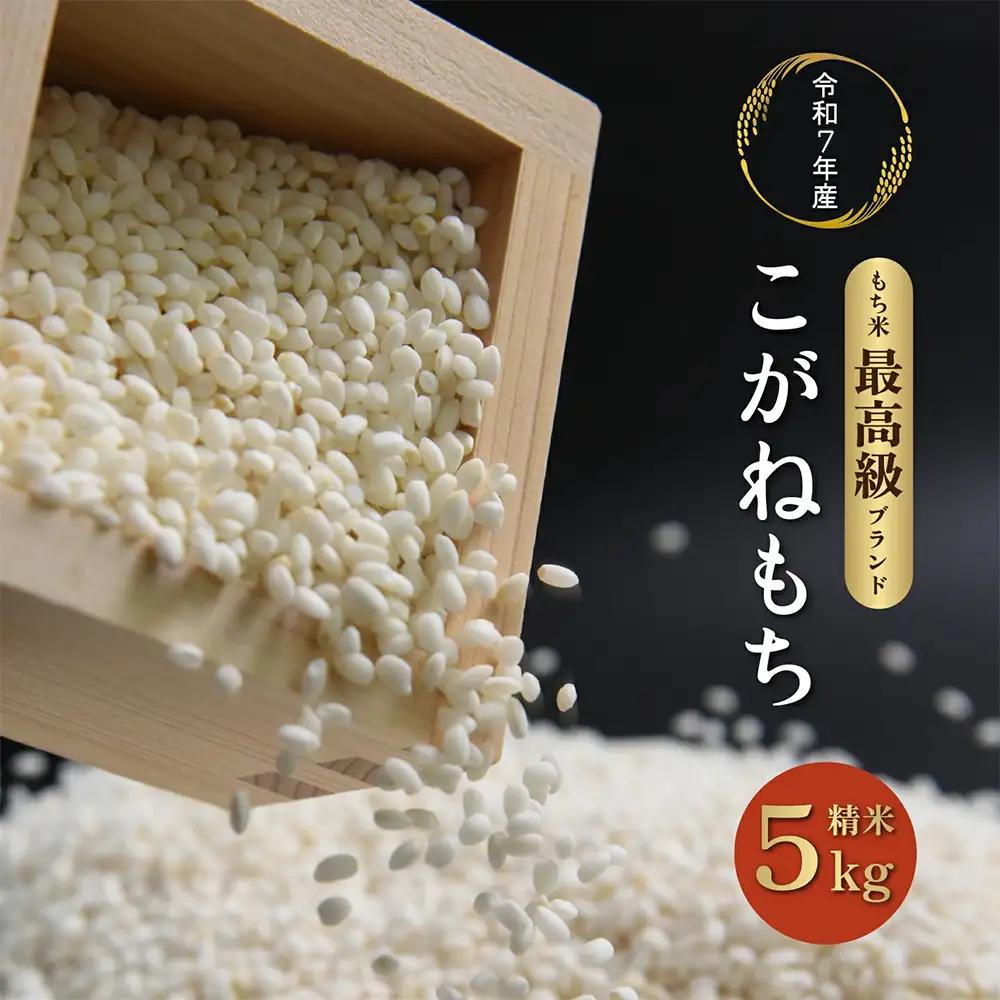 令和7年度産会津喜多方産こがねもち5kg×1袋　【07208-0351】