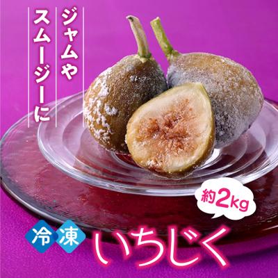 ふるさと納税 新宮町 冷凍いちじく約2キロ【とよみつひめ】.AA324