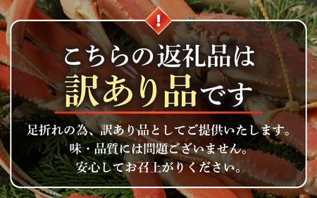 【先行予約】≪浜茹で≫ 地物！天然！はるか丸の船長が厳選した”訳あり”越前がに 約400g × 2杯【2024年12月上旬以降順次発送予定】[m36-x002_12]