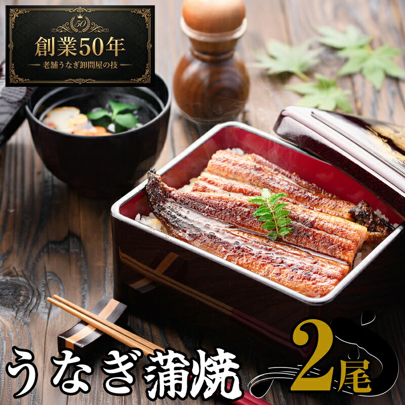 【ふるさと納税】うなぎ蒲焼 2尾入　国産 鰻 ウナギ 蒲焼き ギフト 贈答品 お歳暮 正月 うな丼 鰻丼 うな重 鰻重 ひつまぶし お中元 魚貝類