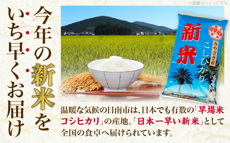 令和7年産 新米 コシヒカリ 計10kg お米 ご飯 ライス 国産 数量限定 期間限定 人気 食品 精米 白米 こしひかり 有洗米 おにぎり お弁当 炊き込みご飯 雑炊 ギフト プレゼント 贈り物 お