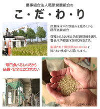 多度津町産 新米 おいでまい【令和6年産新米:11月頃より発送】（白米８kg）【A-11】