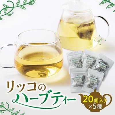 ふるさと納税 南知多町 リッコのハーブティー(季節のハーブティーおまかせセット20個入り×5袋)
