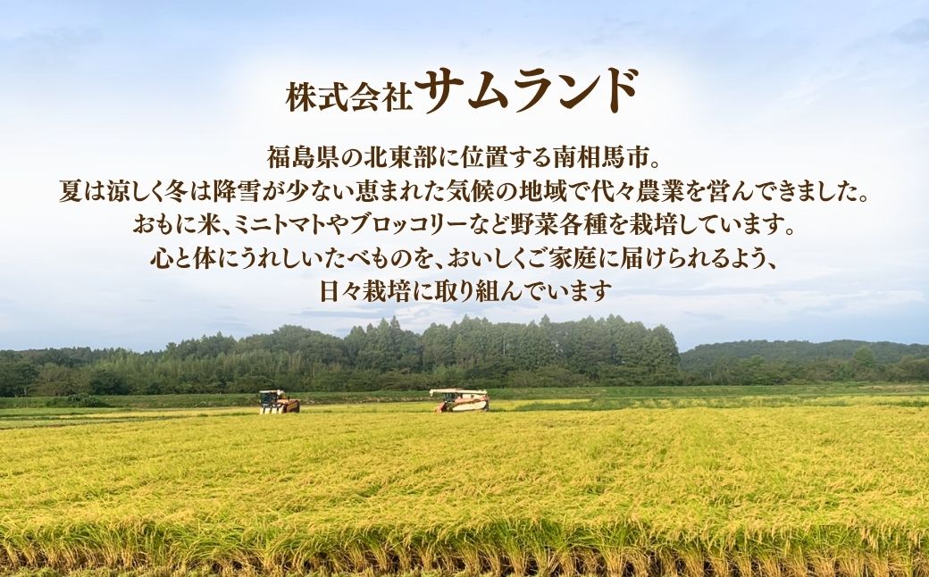 【先行予約】【定期便】にじのきらめき 玄米 15kg (5kg×3回) | 令和8年産 サムランド cu010-ac