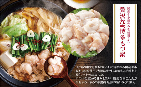 M82-55 やまや 博多もつ鍋(こく味噌味)1～2人前