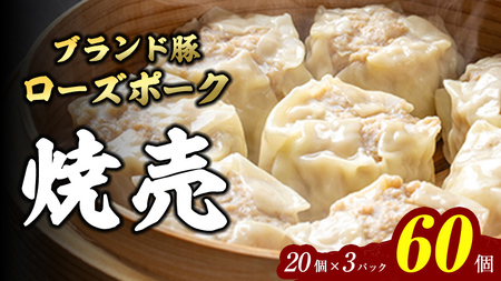 焼売 ローズポーク焼売 60個 冷凍 焼売 焼売 焼売 焼売 焼売 焼売 焼売 焼売