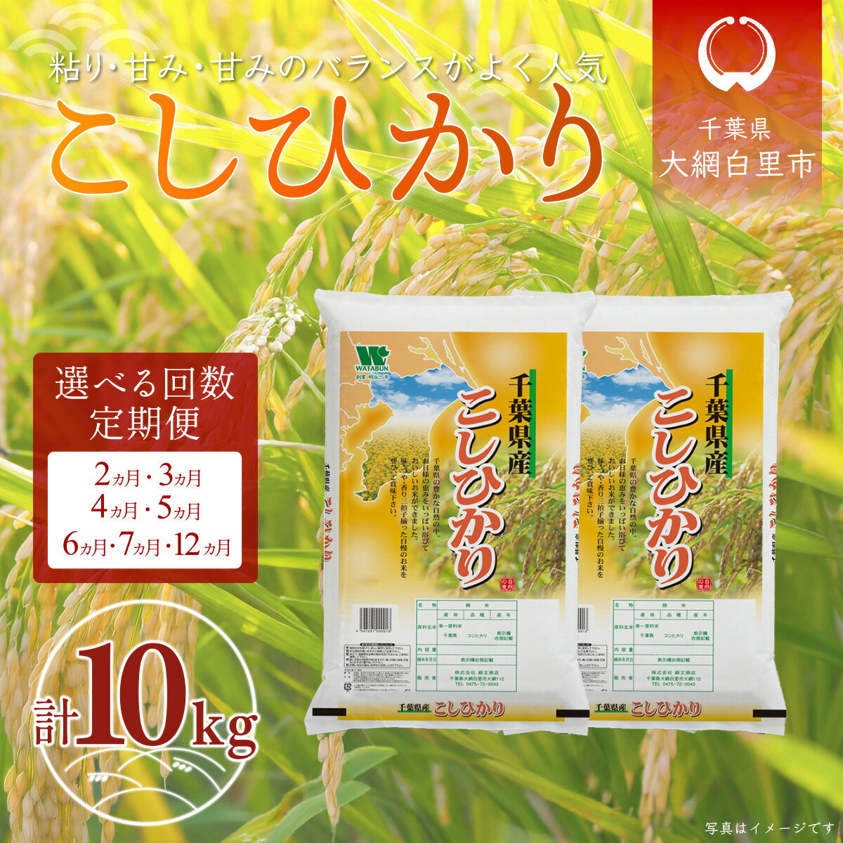 【ふるさと納税】千葉県産「コシヒカリ」10kg 選べる配送回数 2回 / 3回 / 4回 / 5回 / 6回 / 7回 / 12回 ふるさと納税 米 定期便 10kg コシヒカリ 千葉県 大網白里市 送料無料