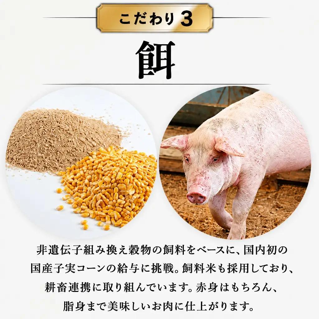 豚肉 ファミリーセットA1.2kg 白金豚肉 モモスライス・カレー用角切り 【561】