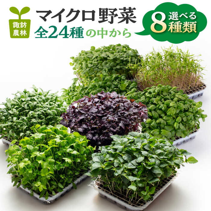 【ふるさと納税】マイクロ野菜 品種が選べる 8点セット 多治見市 / 諏訪農林[TDO006]