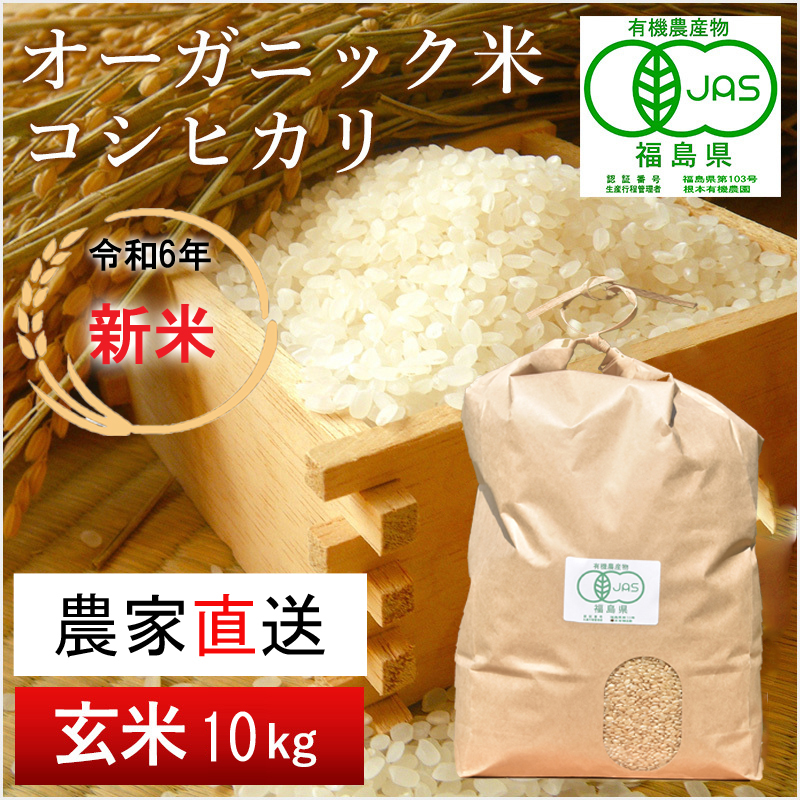 【令和6年産・新米】南相馬・根本有機農園のJAS有機米コシヒカリ10kg（玄米）【3004101】