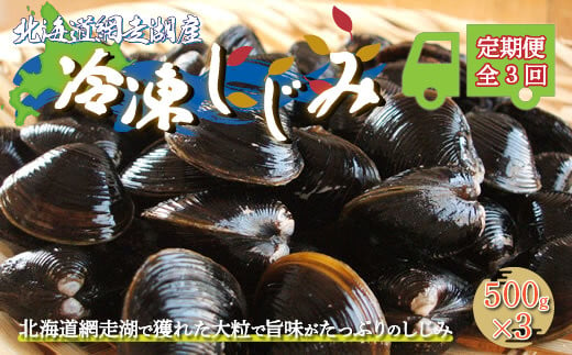 【定期便】全3回（毎月）＜網走湖産＞冷凍しじみ 500g×3 【 ふるさと納税 人気 おすすめ ランキング しじみ シジミ しじみ貝 蜆 貝 シジミ汁 冷凍 定期便 網走湖 北海道産 新鮮 オホーツク 北海道 網走市 送料無料 】 ABE011