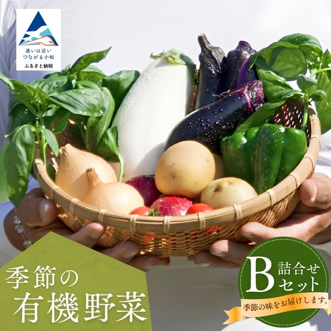 【ふるさと納税】 季節の有機野菜詰合せ Bセット 野菜 詰め合わせ 有機野菜 旬野菜 詰め合わせセット 詰合せ おまかせ 新鮮 直送 お中元 お歳暮 ギフト 小松市 石川県 da002n00【西田農園】