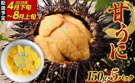 ≪2025年先行予約≫川石水産の甘うに150g×5パック【令和7年4月下旬～8月上旬配送予定】【配送日指定不可】【沖縄・離島配送不可】三陸山田 山田町 海産品 無添加 ミョウバン不使用 ウニ 雲丹 海栗 YD-705