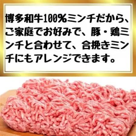 博多和牛100%ミンチ(挽肉)【訳あり】600g(300g×2個)(大牟田市)【配送不可地域：離島】【1608338】