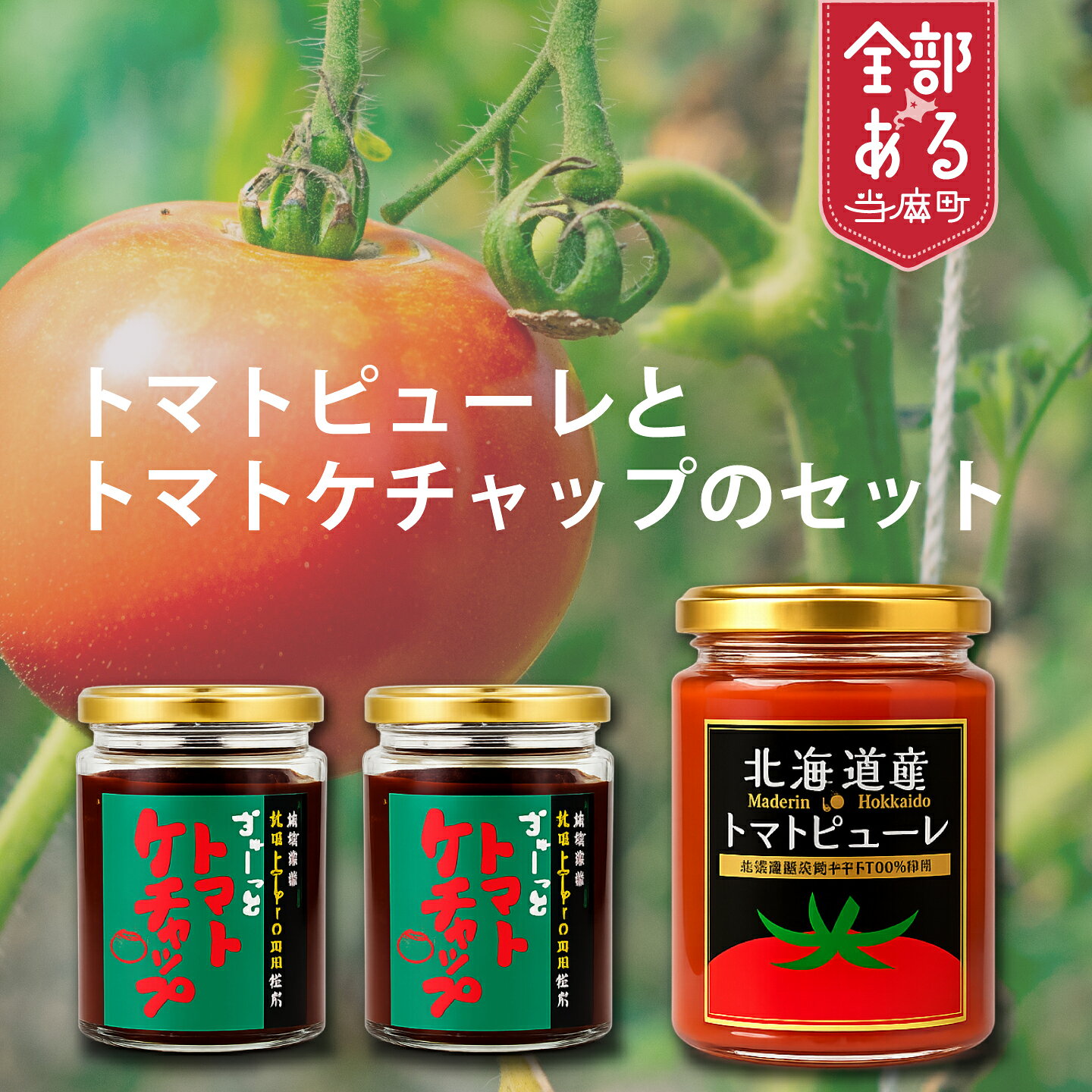 【ふるさと納税】 濃厚トマトケチャップ トマトピューレ セット 北海道 当麻町 ケチャップ2個 ピューレ1個 お取り寄せ グルメ 送料無料 エコみらい