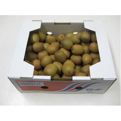 ふるさと納税 観音寺市 さぬきキウイっこ　約2kg |  | 02