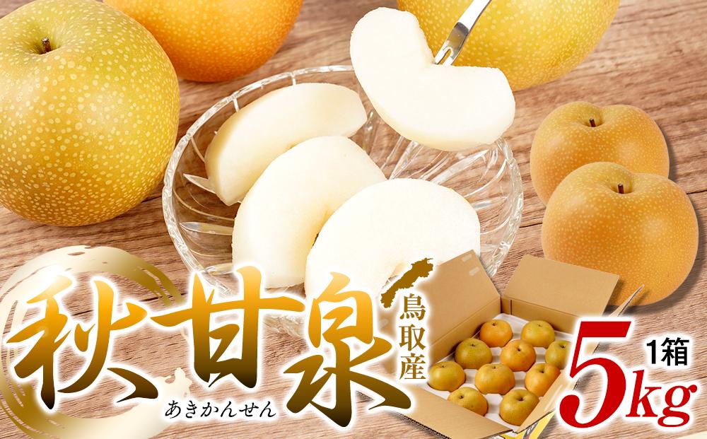 【先行予約】梨 秋甘泉 鳥取産 5kg× 1箱