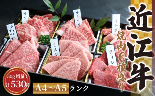 【3月発送】近江牛 焼肉 特上 盛り合わせ 480g +50g 計530g 冷凍 シャトーブリアン A4 A5 ( 近江牛 サーロイン フィレ ヘレ 希少部位 ミスジ クラシタ イチボ ヒウチ ササバラ ラムシン 等 赤身 和牛 近江牛 黒毛和牛 ブランド 牛肉 贈り物 ギフト 国産 滋賀県 近江牛 竜王町 岡喜 霜降り 神戸牛 松阪牛 に並ぶ 日本三大和牛 ふるさと納税 母の日 父の日 )