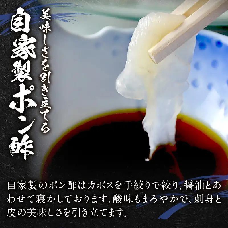 ＜期間限定＞ 天然とらふぐ 刺身 3～4人前_B149-002