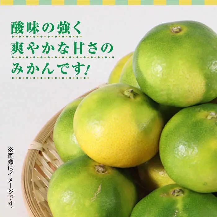 【先行予約】極早生みかん 約10kg　2S〜2Lサイズ　【くまふる】[ZBG054]