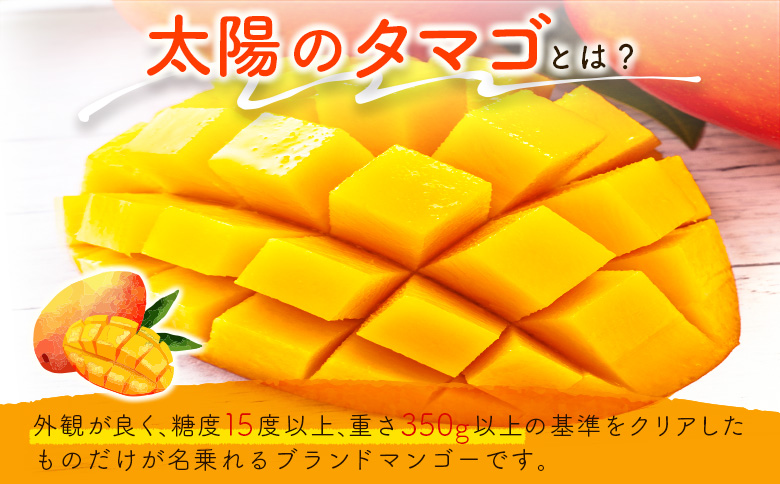 完熟マンゴー＜太陽のタマゴ＞4L×2玉（計1kg以上）化粧箱入 宮崎県産 フルーツ くだもの 国産【E169-25】