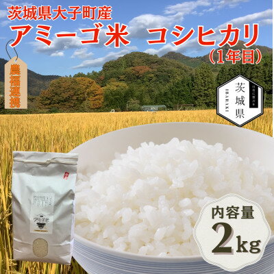 【ふるさと納税】令和7年産新米 アミーゴ米2kg(コシヒカリ・天日干し米(1年目))栽培期間中農薬・化学肥料不使用【配送不可地域：離島・沖縄県】【1702219】