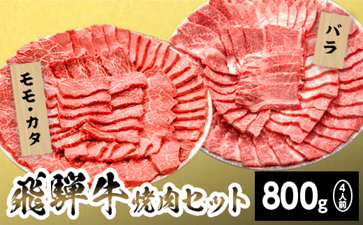 
                  【発送時期が選べる】飛騨牛 贅沢！焼肉セット 4人前 800g  牛肉 和牛 肉 焼肉 BBQ キャンプ バーベキュー 霜降り カルビ 赤身 モモ カタ 東白川村 岐阜 岐阜県産 養老ミート
                