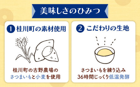 【全12回定期便】ふわもちリングドーナツ　6個セット（きなこ味）桂川町/PIZZERIA TUTTI[ADBH068]