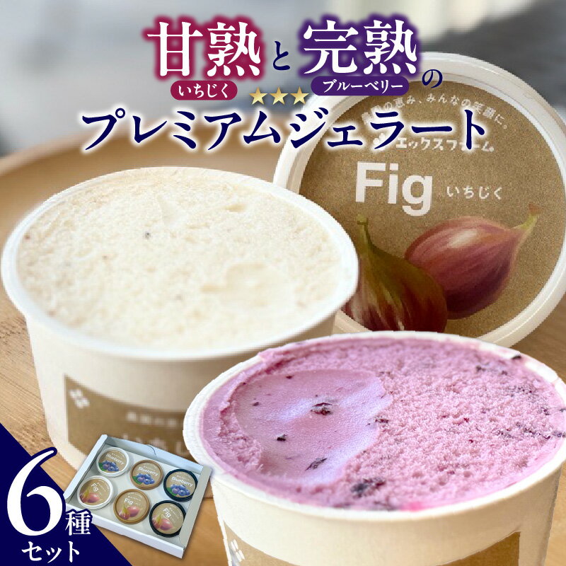 【ふるさと納税】甘熟 いちじく ブルーベリー プレミアム ジェラート セット 各 1個 計 6個 碧南市産 完熟 贅沢 スイーツ デザート おやつ カップ 6種 食べ比べ チーズ ミルク ヨーグルト ソルベ アイス お取り寄せ 愛知県 碧南市 送料無料