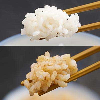 ふるさと納税 多古町 多古米パックご飯　白米・玄米セット6パック(白米150g×3パック、玄米150g×3パック) |  | 01