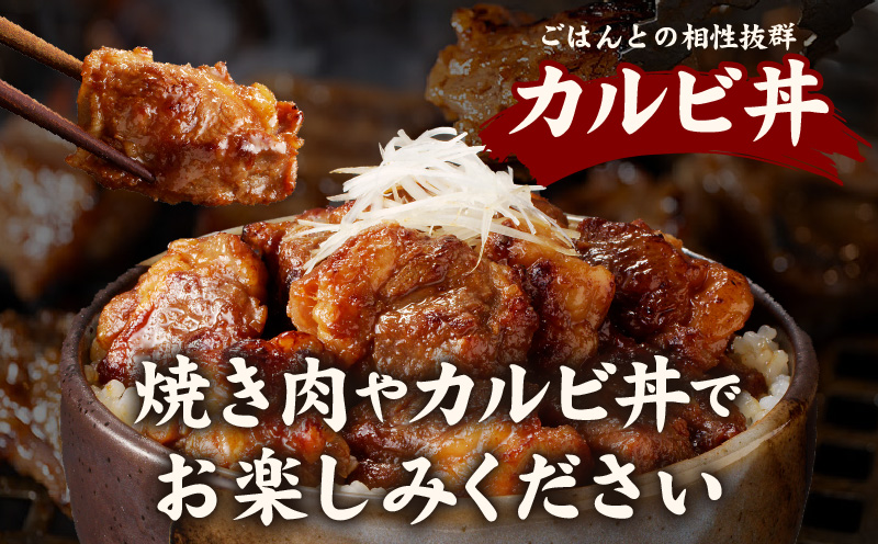 【ANA限定】特製タレ漬け 中落ちカルビ 500g 小分け 250g×2P 牛肉 焼き肉専門店