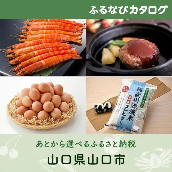 【有効期限なし！後からゆっくり特産品を選べる】山口県山口市カタログポイント