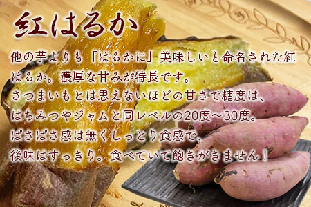 ＜数量限定！ 国富町産 熟成紅はるか 約5kg＞翌月末迄に順次出荷※入金確認後、翌月末までに順次出荷【 国産 さつまいも さつま芋 サツマイモ 生芋 芋 野菜 穀物 甘い 秋の味覚 紅はるか】