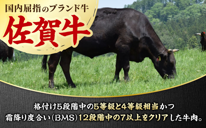 【佐賀牛 希少部位食べ比べ】ヒレ イチボ ランプ 総計900g (150g×6枚) 吉野ヶ里町/NICK’S MEAT [FCY030]