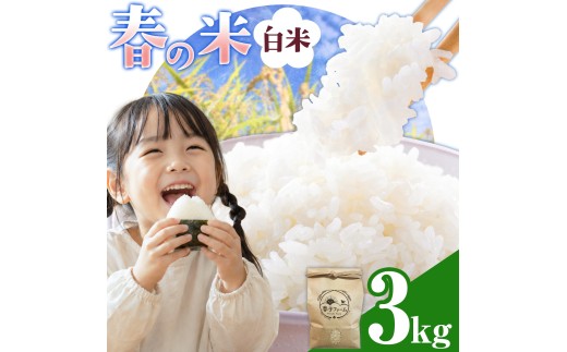 米 令和7年産 コシヒカリ 春の米 白米 3kg 春子ファーム《60日以内に出荷予定(土日祝除く)》千葉県 東庄町 千葉県産 東庄産 白米 精米