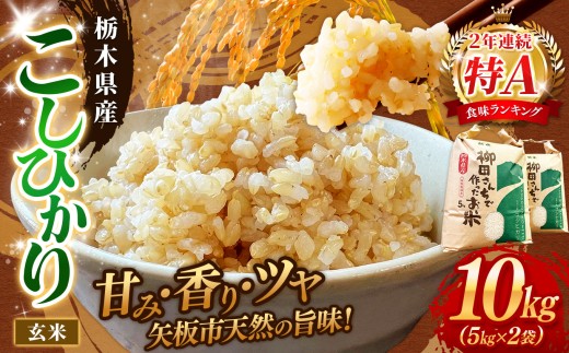 矢板市特別栽培米 こしひかり 玄米 5kg×2P | お米 米 こめ 白米 玄米 にじのきらめき コシヒカリ こしひかり 美味しい お弁当 選べる エコ スマート 環境 手間暇 土づくり  ふるさと 納税 栃木県 矢板市