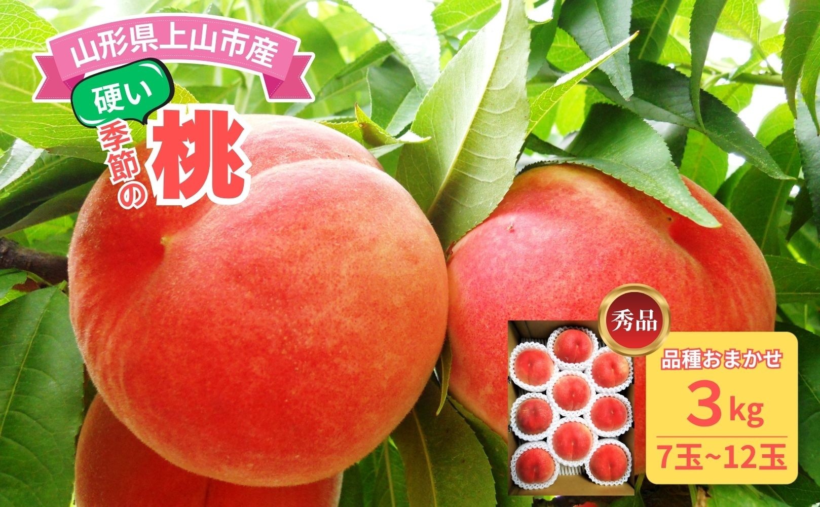 
                  山形の旬の硬い桃（品種おまかせ）３ｋｇ　0017-2604
                