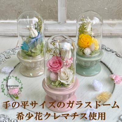 ふるさと納税 春日部市 プリザーブドフラワーアレンジ【美羽(みう)/ピンク】春日部市 シュガーパイン |  | 02