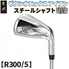 ゼクシオ エックス アイアン  スチールシャフト【R300/5】 ≪2023年モデル≫