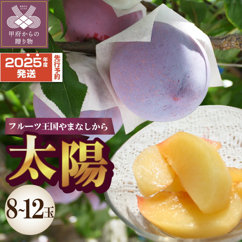 【ふるさと納税】 希少品種 すもも 太陽 8～12玉 2025年度配送分 先行予約 数量限定 期間限定 フルーツ 果物 冷蔵 甘味 適度な酸味 贈り物 お中元 贈答品 手土産 プレゼント ギフト箱 山梨県産 甲府市産 k330-012