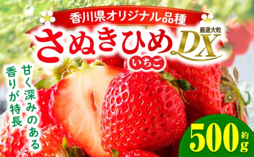 【先行受付】【年内発送】三木町地域いちご部会「さぬきひめ」約500gDXパック | スイーツ いちご ストロベリー イチゴ さぬき姫 さぬきひめ 苺 甘い 大粒 冷蔵 フルーツ 旬 果物 香川県 デザート 青果物 贈答 プレゼント 贈り物 おすすめ |_mk006-085