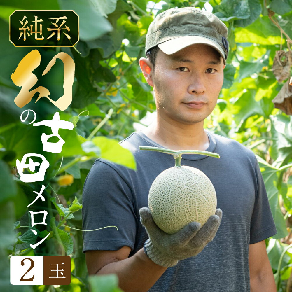 【ふるさと納税】＼毎年完売★5／ 古田メロン 2玉 石井農園 【先行予約】 2025年7月上旬発送開始 稀少な品種 純系 メロン 純系 箱詰め メロン めろん フルーツ 果物 お取り寄せ 渥美半島 産地直送 幻 希少品 田原市 送料無料 高糖度