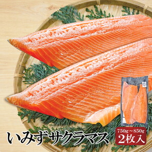 希少な高級魚 いみずサクラマス 2枚入(約750g～約850g)｜鮭 切身 マス サーモン 富山県 射水市 魚介類 魚貝類 冷凍 切り身 真空パック サーモン 鮭