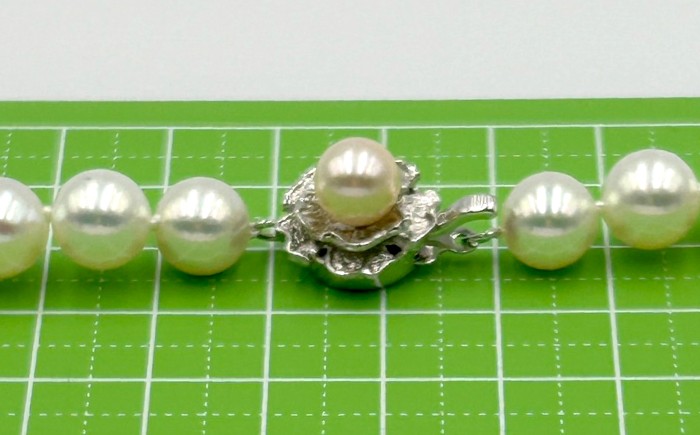 真珠 アコヤ 淡水 本真珠