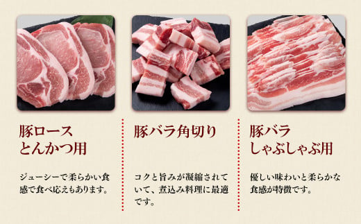 【11月発送】宮崎県産豚肉6種1.9kg盛り合わせ 焼肉 とんかつ しゃぶしゃぶ スライス 小間切れ 食べ比べ 鍋＜1.2-70＞●【10月1日より寄附金額見直し】