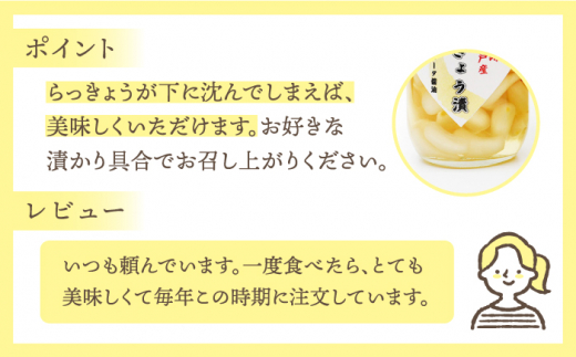 【先行予約】平戸産 新らっきょう漬け 1kg【キッコータ醤油・南部物産】[KAA325]