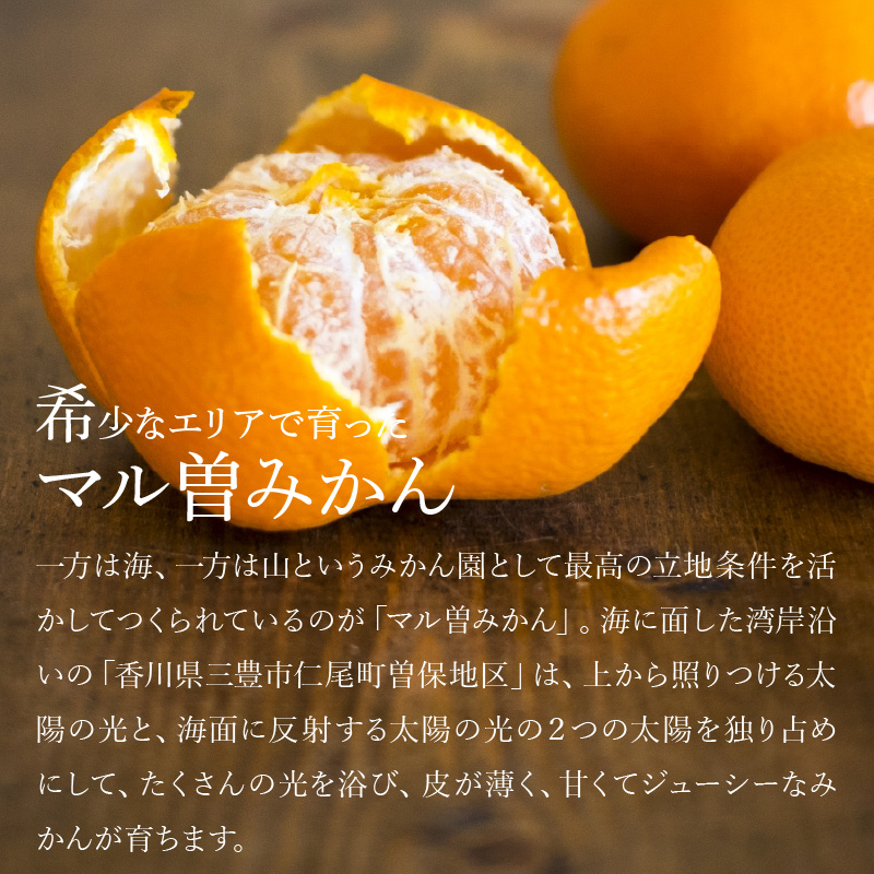 【ふるさと納税】【配送不可地域：北海道・沖縄県・離島】三豊市産　極上【マル曽　早生みかん約5ｋｇ】S〜Mサイズ  秋 旬